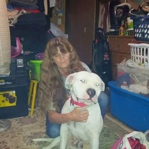 Meet your Posher, Suzy